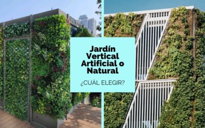 Jardín vertical artificial o natural | ¿Cuál elegir?